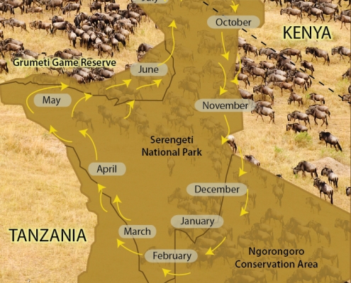 Map of the great migration in Tanzania (Serengeti Ecosystem)