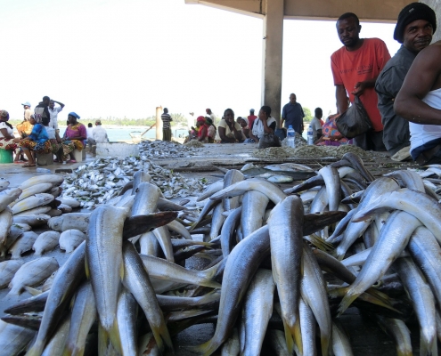 Local fish market Zanzibar