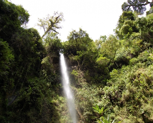 Arusha Waterfalls
