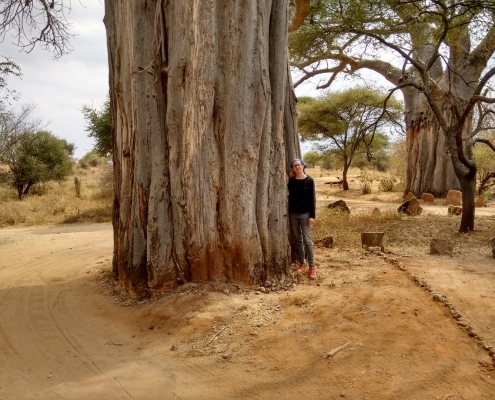 Safari Consultant Lisa next to an ancient Baobab Tree, in the vicinity fo the Tarangire Safari Lodge