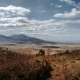 View during the drive from the Ngorongoro Conservation Area towards the Serengeti National Park during dry season