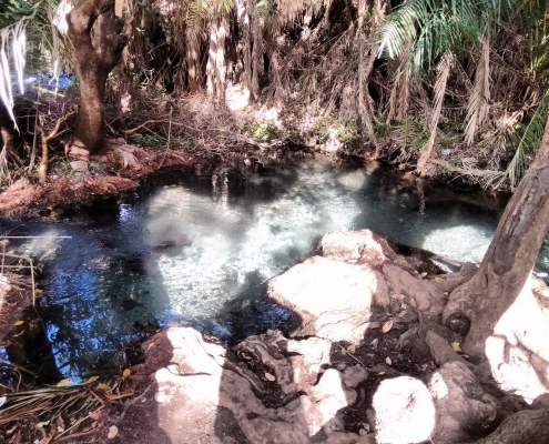 One of the smaller pools in the Hot Springs area