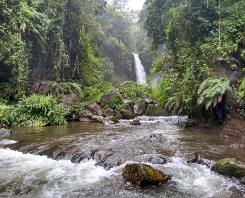 Kilimanjaro Marangu Waterfalls