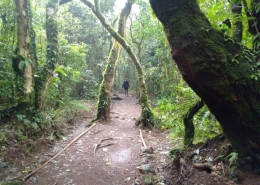 Kilimanjaro National Park Marangu Route with our Safari Consultant Lisa hiking