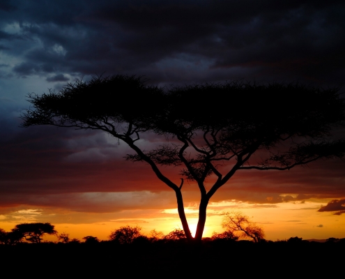 Sunset Serengeti Tanzania