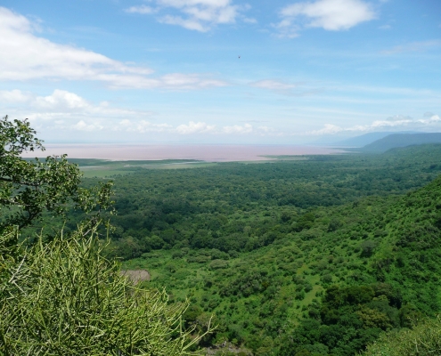 View of Lake Manyara ontop of great rift valley