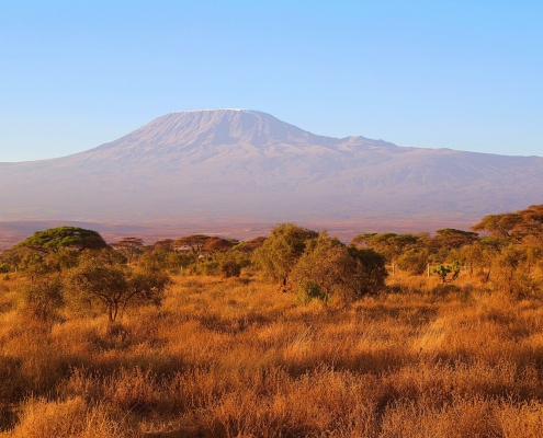 Savannah with Mount Kilimanjaro in the background