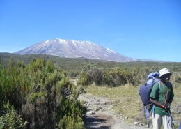 Mountain Guide in the Heath and moorland zone, Kilimanjaro National Park