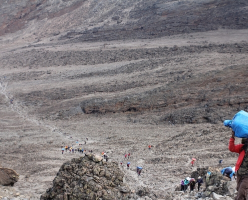 Kilimanjaro Porters in Action