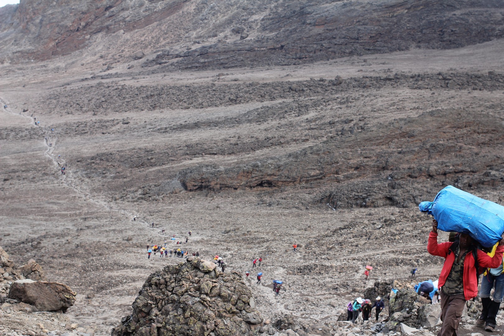 Kilimanjaro Porters in Action
