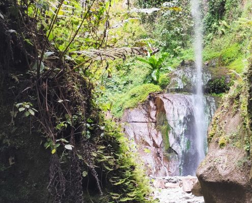 After hiking up the canyon the way will open up and you are greeted with a spectacular view of the Arusha Waterfalls