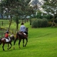 The Manor horse riding