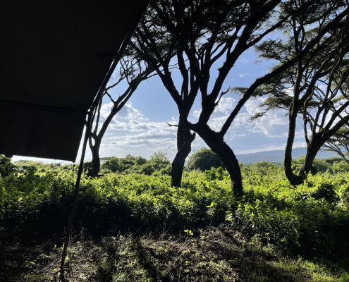 View from one of the luxury tents