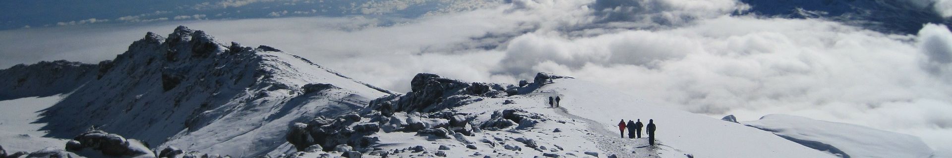 Kilimanjaro Trekking Tour alpine zone