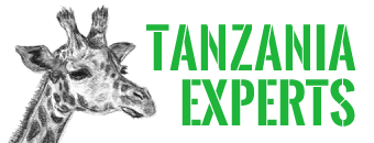 Tanzania Experts