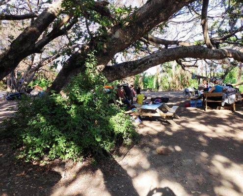 Ancient Trees and Maji Moto picknick area
