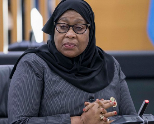 Her Excellency Samia Suluhu Hassan