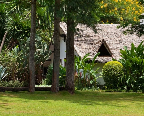 Plantation Lodge garden