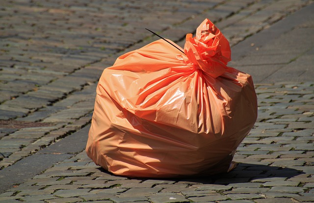Ban on plastic bags in Tanzania
