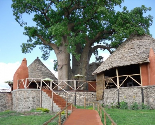 Rift Valley Photographic Lodge main building with baobab tree