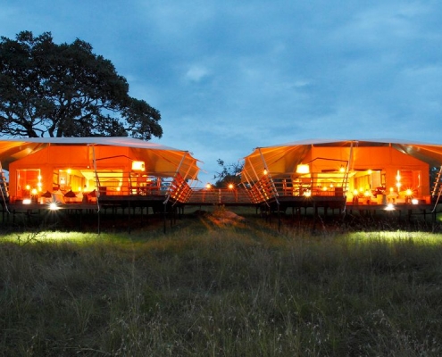 Serengeti Bushtops family tent
