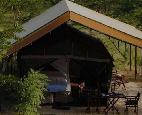 Tanzania Bush Camps Serengeti bird eye view of a tent