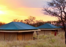 Tukaone Camps Serengeti tents