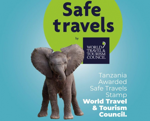 Safe Travels Tanzania